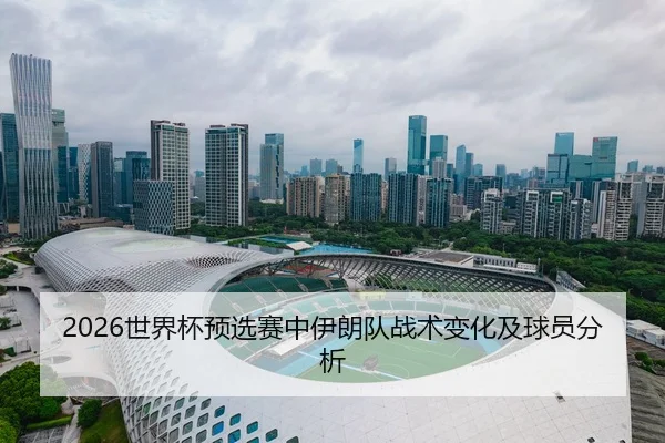 2026世界杯预选赛中伊朗队战术变化及球员分析