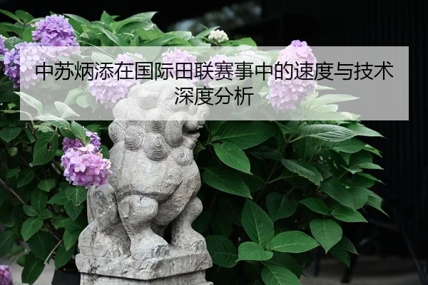 中苏炳添在国际田联赛事中的速度与技术深度分析