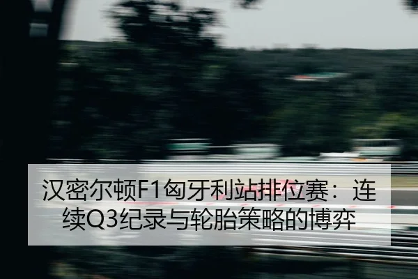 han-mi-er-dun-xiong-ya-li-zhan-pai-wei-sai-lian-xu-ji-lu-yu-lun-tai-ce-lve-de-bo-yi-2-443.jpg