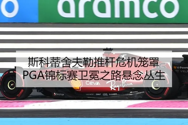 si-ke-di-she-fu-lei-tui-gan-wei-ji-long-zhao-jin-biao-sai-wei-mian-zhi-lu-xuan-nian-cong-sheng-3-819.jpg