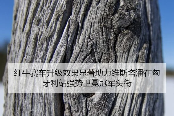 hong-niu-sai-che-sheng-ji-xiao-guo-xian-zhu-zhu-li-wei-si-ta-pan-zai-xiong-ya-li-zhan-qiang-shi-wei-mian-guan-jun-tou-3-861.jpg